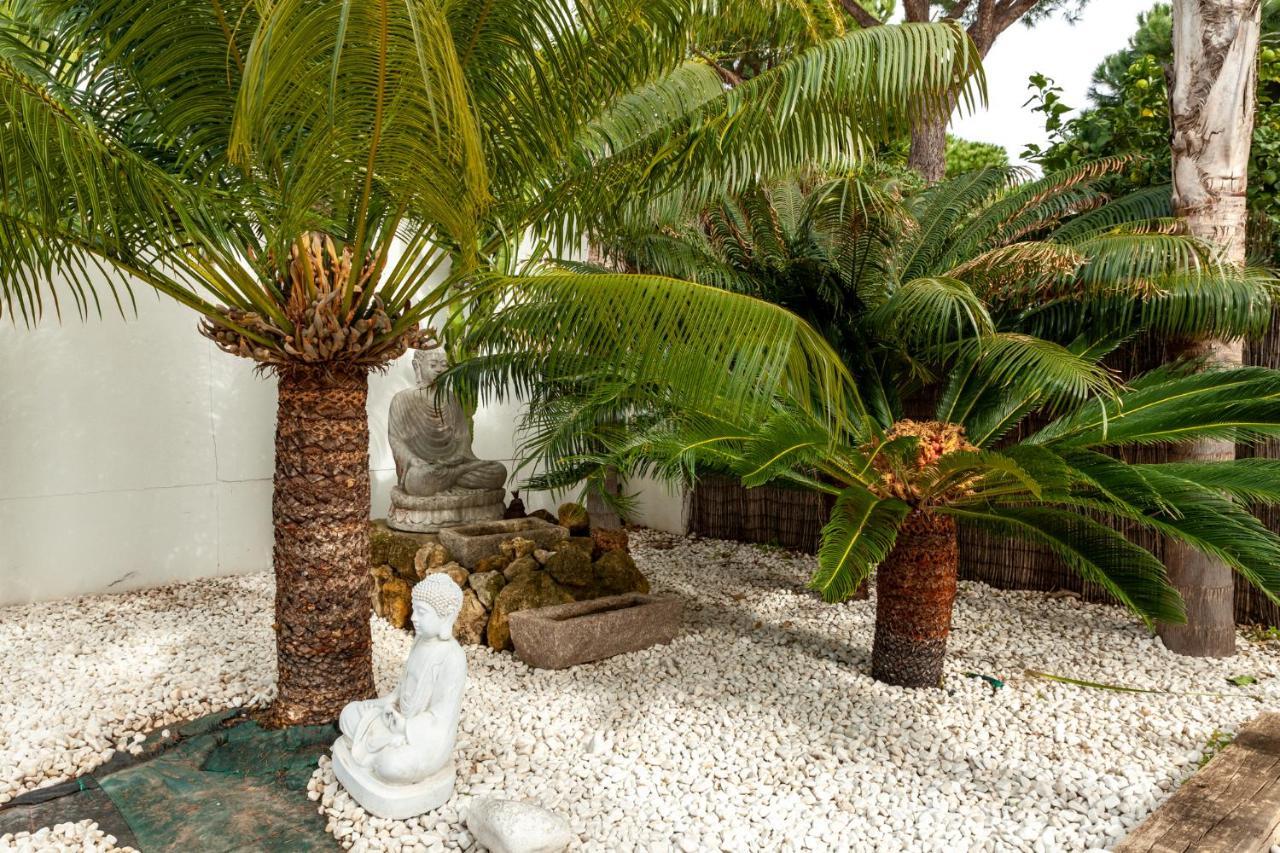 Chalet Con Piscina Privada En Mazagón エクステリア 写真